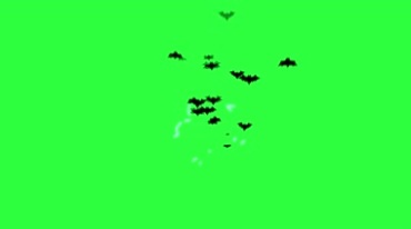 黑蝙蝠群散开飞散绿幕抠像后期特效视频素材