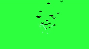 黑蝙蝠群散开飞散绿幕抠像后期特效视频素材