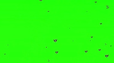 小蝙蝠飞舞绿幕抠像后期特效视频素材