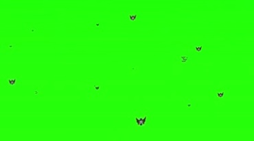 小蝙蝠飞舞绿幕抠像后期特效视频素材