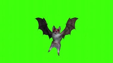 蝙蝠张开翅膀红眼睛转动静态展示绿屏后期特效视频素材