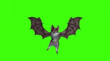 蝙蝠张开翅膀红眼睛转动静态展示绿屏后期特效视频素材