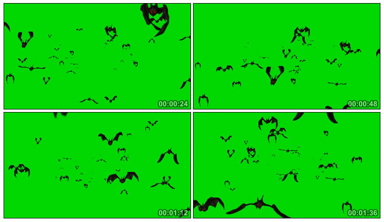 一群黑蝙蝠扑面飞来绿屏抠像后期特效视频素材