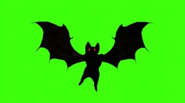黑色蝙蝠扇动翅膀眼睛转动绿幕抠像特效视频素材