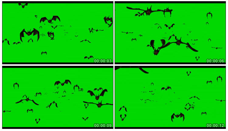 蝙蝠纷纷飞来绿幕抠像后期特效视频素材