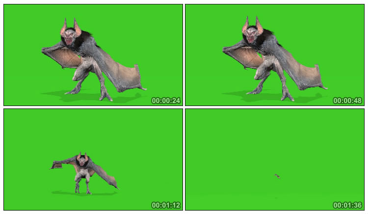 阴森恐怖的蝙蝠精大蝙蝠绿屏抠像后期特效视频素材