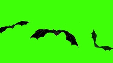 黑蝙蝠群从远处飞来绿屏抠像后期特效视频素材