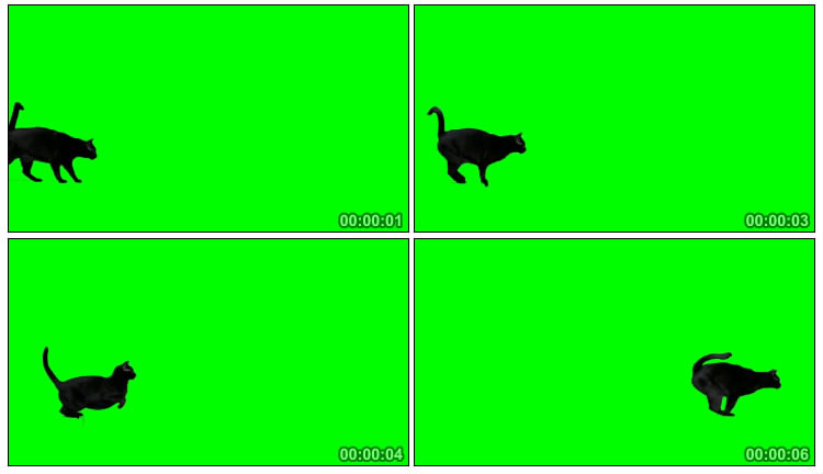 黑猫跳跃绿屏抠像后期特效视频素材