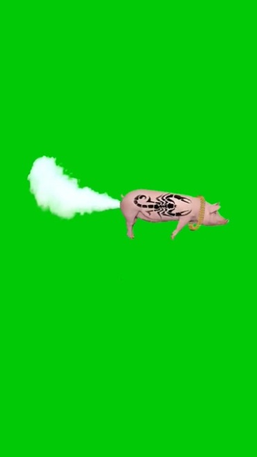 小猪放屁喷气飞行绿幕抠像后期特效视频素材