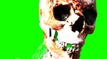 头盖骨骷髅头骨头白骨绿屏抠像后期特效视频素材