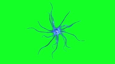 真菌细胞微生物病毒细菌触须绿屏抠像特效视频素材
