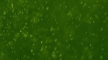 飘雪粒子漫天飞雪尘土飞扬颗粒绿幕后期特效视频素材
