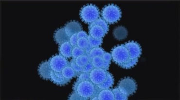新型冠状病毒肺炎细菌透明通道抠像后期特效视频素材