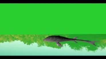 鱼怪鲶鱼大鱼游水绿幕抠像后期特效视频素材
