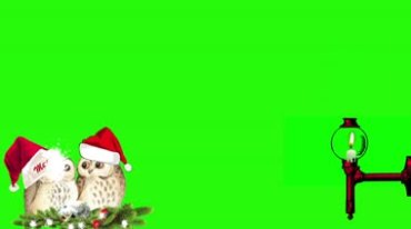 圣诞节猫头鹰和蜡烛绿屏抠像后期特效视频素材