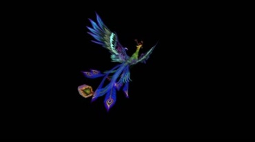 美丽的蓝凤凰飞翔黑幕抠像后期特效视频素材