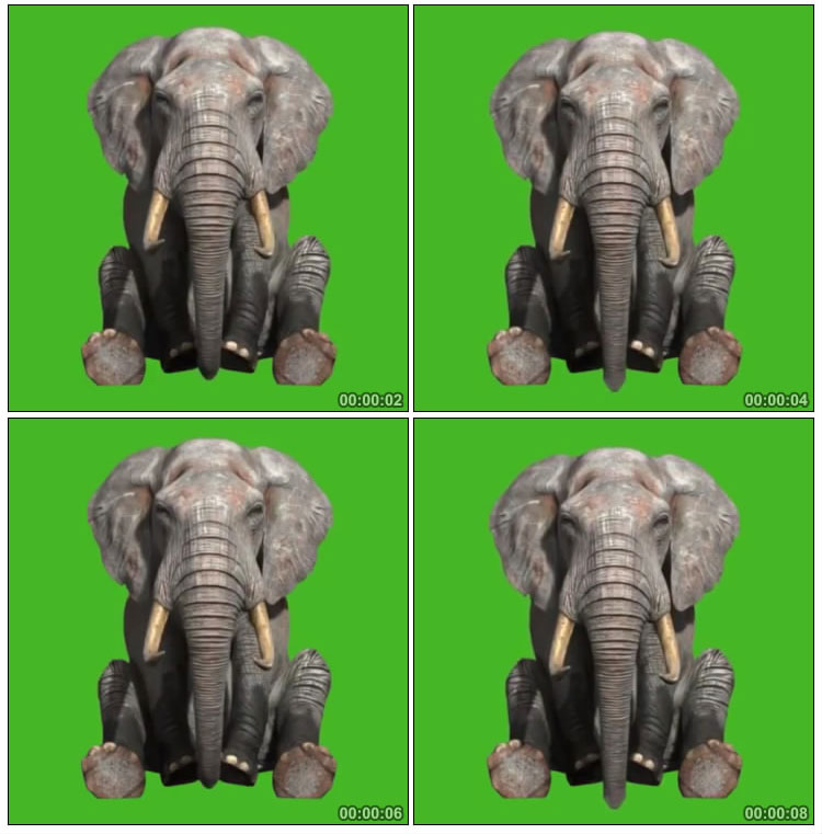 大象坐着生气绿屏抠像后期特效视频素材