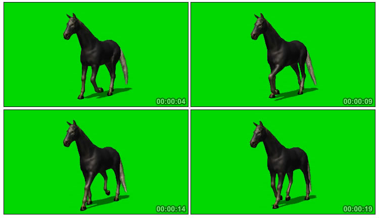 纯黑的马慢慢踱步侧面绿屏抠像后期特效视频素材