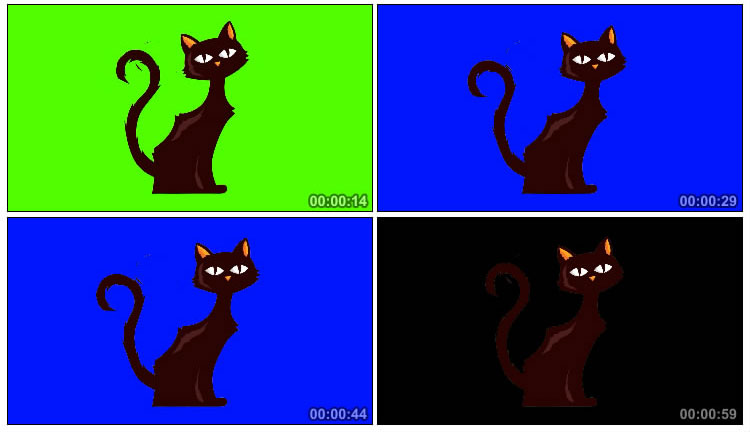 薛定谔的猫黑猫透明抠像后期特效视频素材
