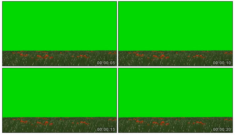 一望无际的野草花草地绿屏抠图后期特效视频素材