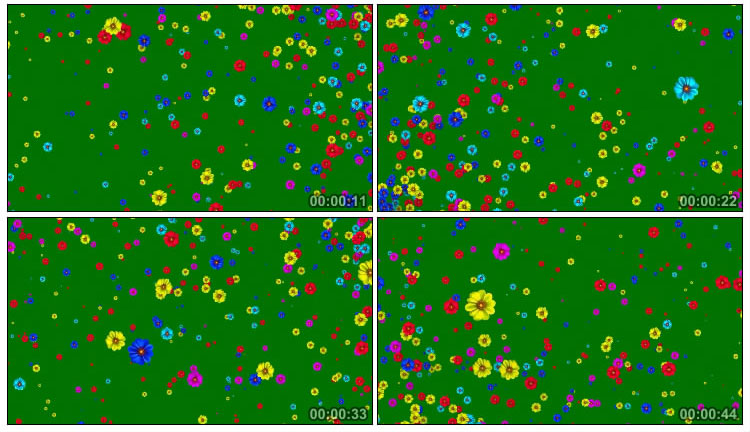 五颜六色小花朵空中悬浮控花绿屏抠像特效视频素材