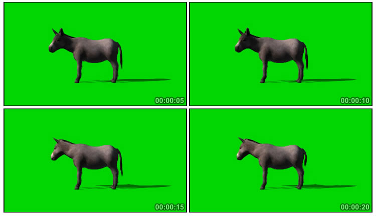 小毛驴绿屏抠像后期特效视频素材