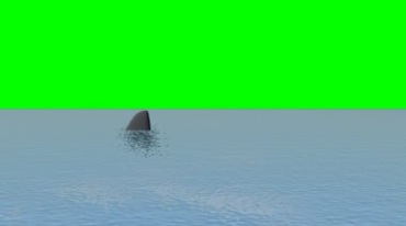 鲨鱼背鳍鱼鳍绿屏抠图后期特效视频素材