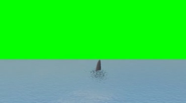 鲨鱼背鳍鱼鳍绿屏抠图后期特效视频素材