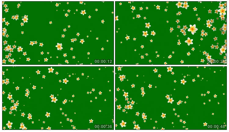 茉莉花小花朵空中飘浮控花绿屏抠像后期特效视频素材