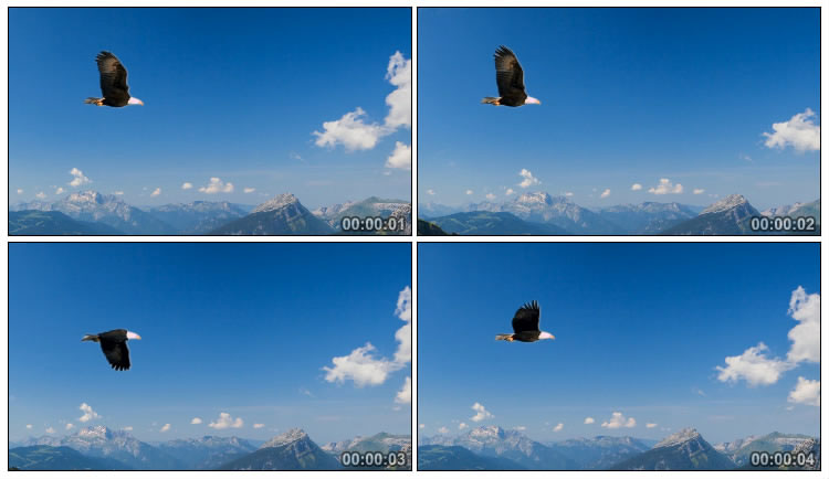 雄鹰在崇山峻岭蓝天白云高空飞翔视频素材