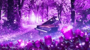 紫色梦幻森林落叶钢琴视频素材