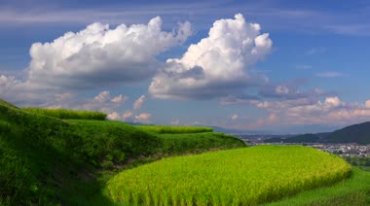 美丽的绿色梯田乡村风景视频素材