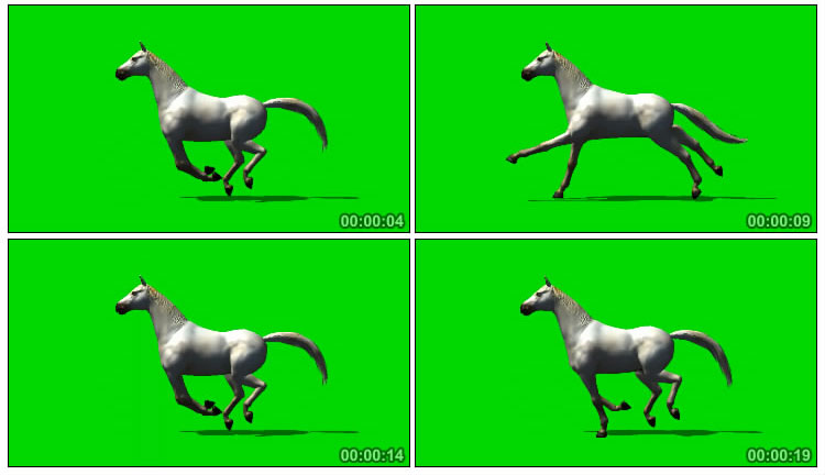 白马奔跑绿屏抠图后期特效视频素材