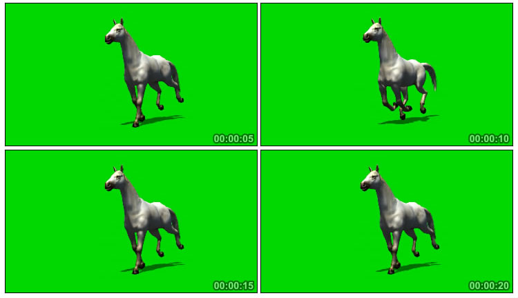 马儿白马奔跑驰骋绿屏抠像后期特效视频素材