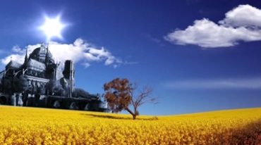 古堡外漫山遍野金黄植物背景视频素材