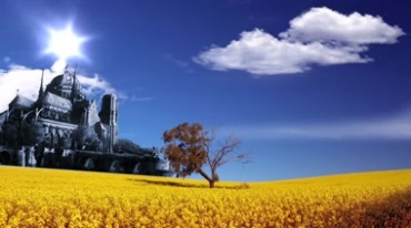 古堡外漫山遍野金黄植物背景视频素材