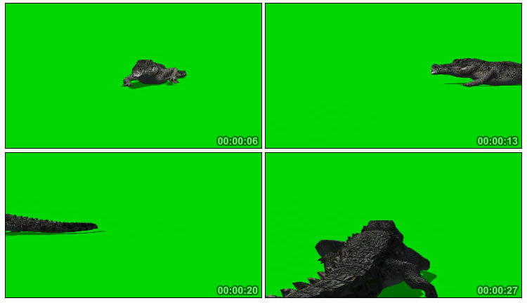鳄鱼爬行绿幕抠像后期特效视频素材