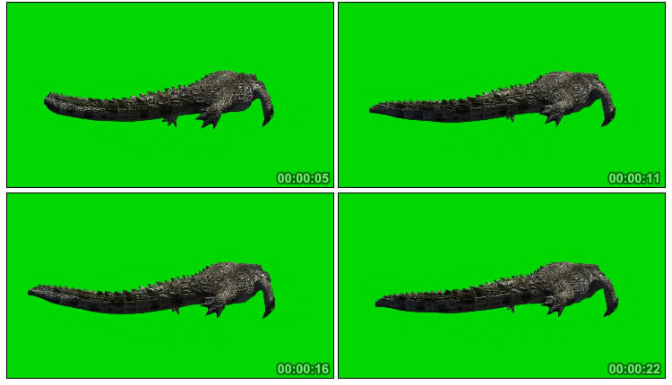 鳄鱼摆动尾巴绿屏抠图后期特效视频素材