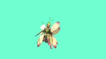 花仙子精灵飞行透明抠像后期特效视频素材