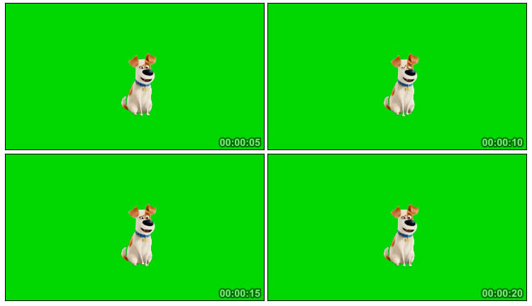可爱卡通狗狗绿屏抠像后期特效视频素材