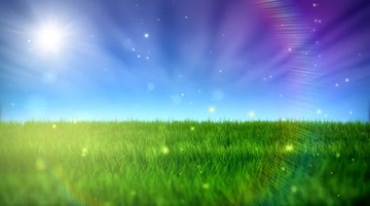 梦幻童话绿地草场大草原太阳光芒粒子视频素材