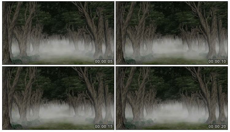 恐怖黑暗雾气弥漫的森林视频素材