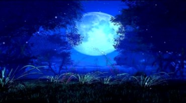 蓝色月亮夜晚月光草地树影视频素材