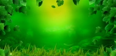 绿色藤蔓唯美梦幻绿野仙踪背景视频素材