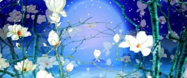 蓝色玉兰花月亮小白花视频素材