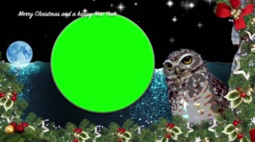 圣诞节猫头鹰圆相框圆框绿幕后期抠像视频素材