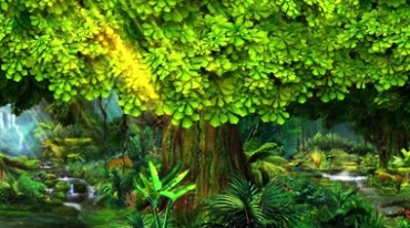 绿树森林大树阳光视频素材