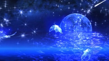 蓝色海面月亮蝴蝶飞舞视频素材