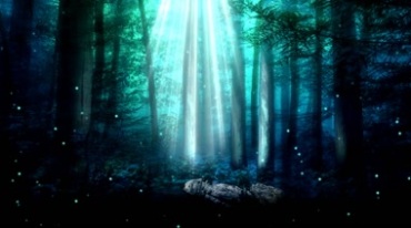 魔幻森林圣光照射视频素材