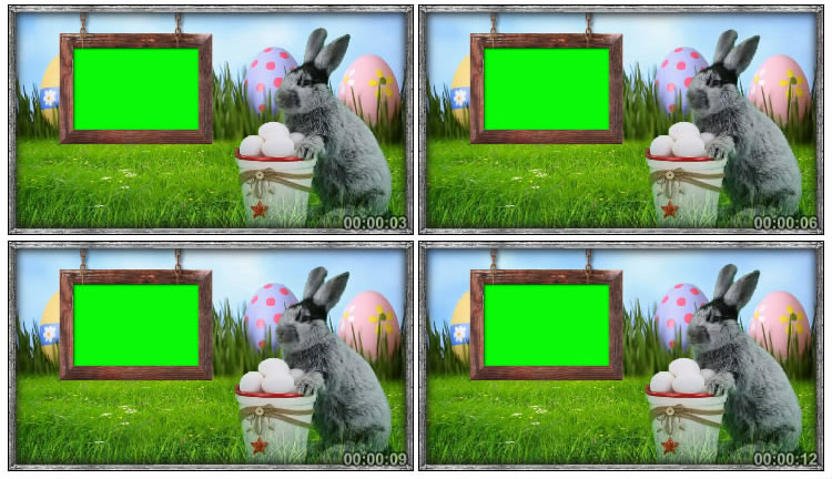 小灰兔相框绿板后期抠像视频素材